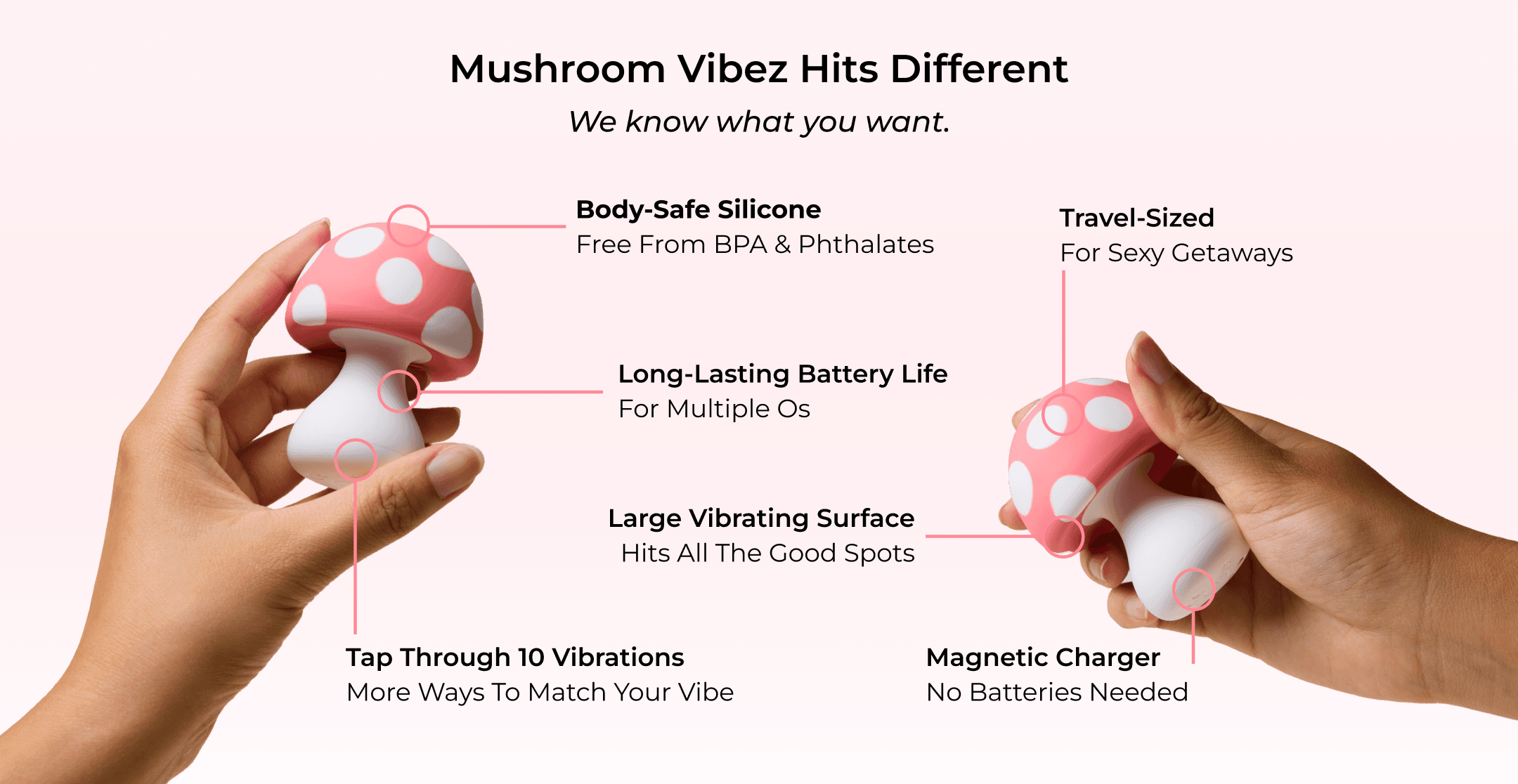 Mushroom Vibez Features